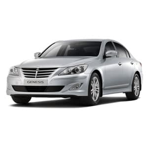 Genesis (BH) (2007-2014)